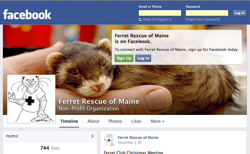 Ferret Rescue on Facebook